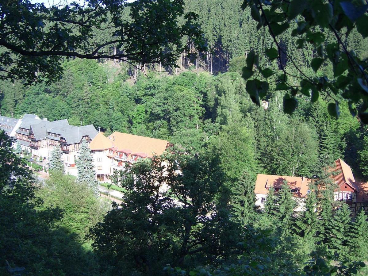 Hotel Habichtstein Алексисбад Екстериор снимка